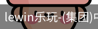 lewin乐玩-(集团)中国有限公司